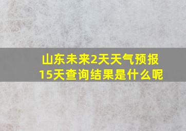 山东未来2天天气预报15天查询结果是什么呢