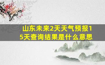 山东未来2天天气预报15天查询结果是什么意思