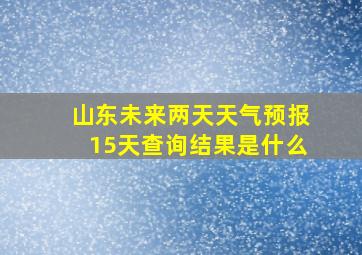 山东未来两天天气预报15天查询结果是什么