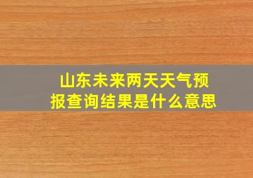 山东未来两天天气预报查询结果是什么意思