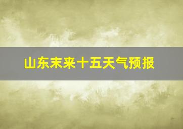 山东末来十五天气预报