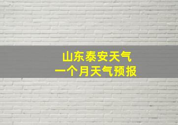 山东泰安天气一个月天气预报