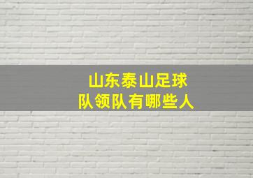 山东泰山足球队领队有哪些人