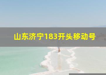 山东济宁183开头移动号