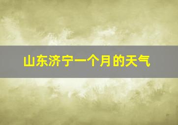 山东济宁一个月的天气