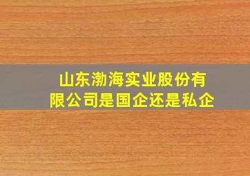 山东渤海实业股份有限公司是国企还是私企