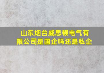 山东烟台威思顿电气有限公司是国企吗还是私企