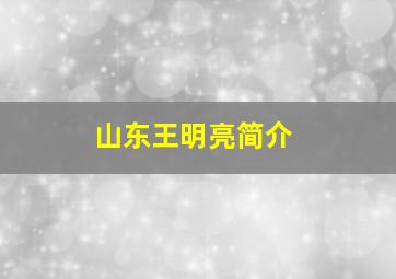 山东王明亮简介