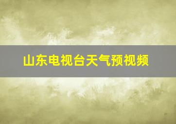 山东电视台天气预视频