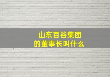 山东百谷集团的董事长叫什么