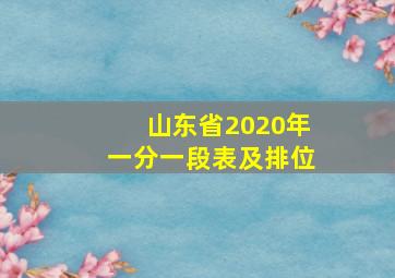 山东省2020年一分一段表及排位