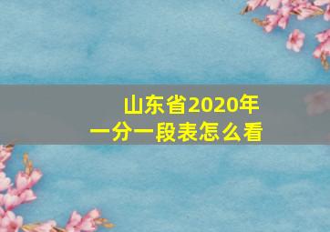 山东省2020年一分一段表怎么看