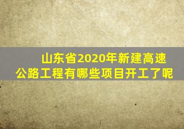 山东省2020年新建高速公路工程有哪些项目开工了呢