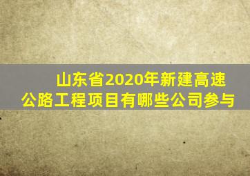 山东省2020年新建高速公路工程项目有哪些公司参与