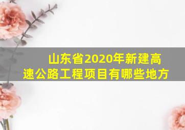 山东省2020年新建高速公路工程项目有哪些地方