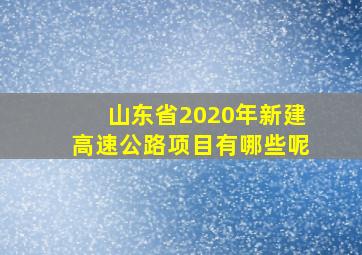 山东省2020年新建高速公路项目有哪些呢