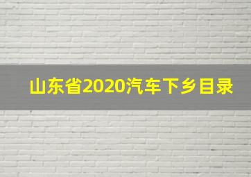 山东省2020汽车下乡目录