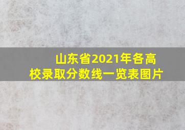 山东省2021年各高校录取分数线一览表图片