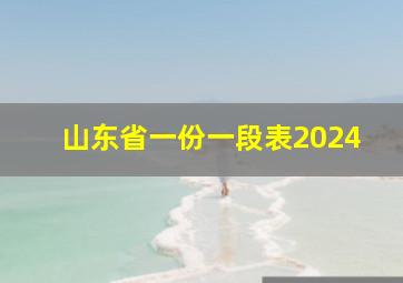 山东省一份一段表2024