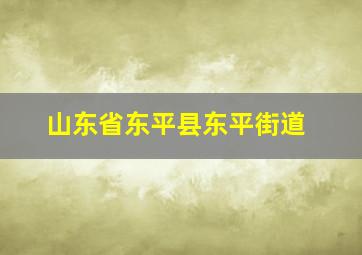 山东省东平县东平街道