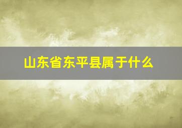 山东省东平县属于什么