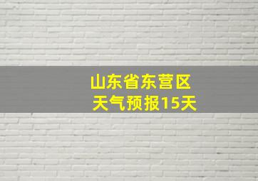 山东省东营区天气预报15天