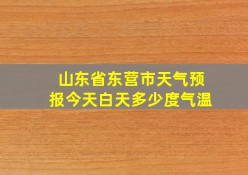 山东省东营市天气预报今天白天多少度气温