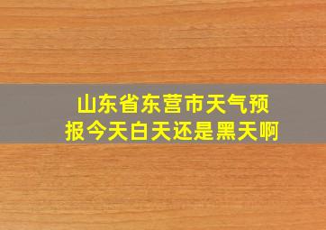 山东省东营市天气预报今天白天还是黑天啊