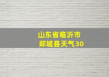 山东省临沂市郯城县天气30