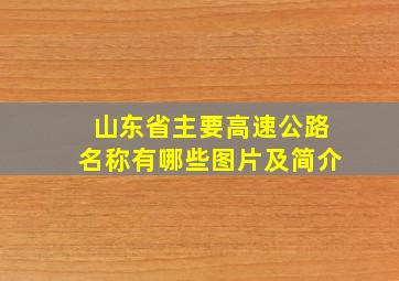 山东省主要高速公路名称有哪些图片及简介