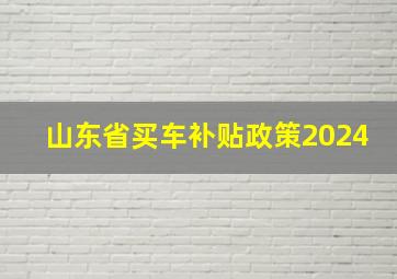 山东省买车补贴政策2024