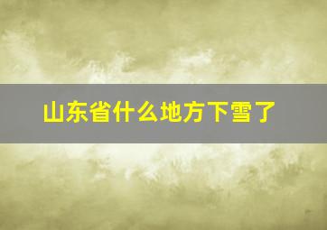 山东省什么地方下雪了