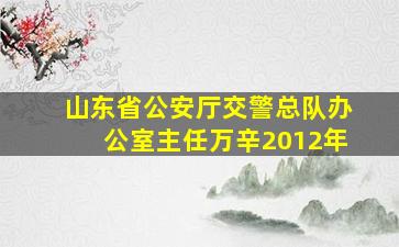 山东省公安厅交警总队办公室主任万辛2012年