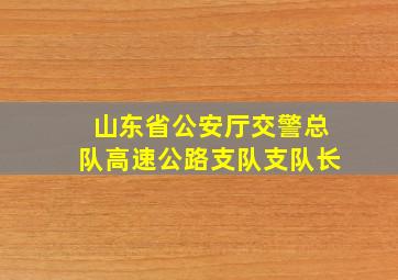 山东省公安厅交警总队高速公路支队支队长