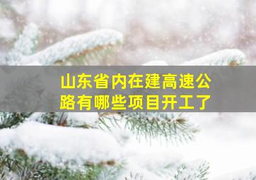 山东省内在建高速公路有哪些项目开工了