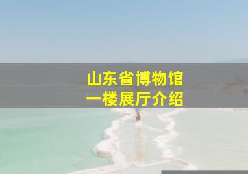 山东省博物馆一楼展厅介绍