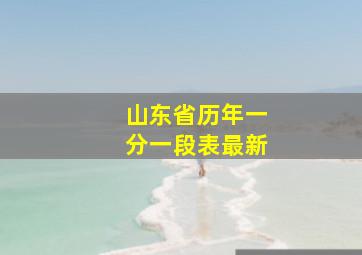 山东省历年一分一段表最新