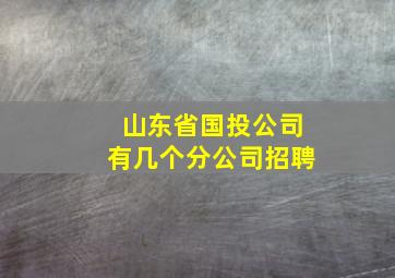 山东省国投公司有几个分公司招聘