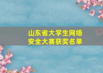 山东省大学生网络安全大赛获奖名单