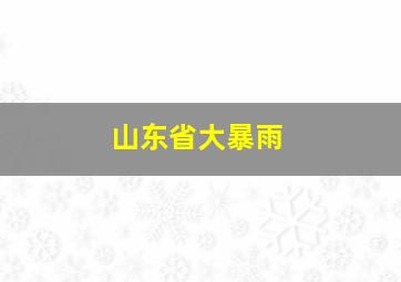 山东省大暴雨