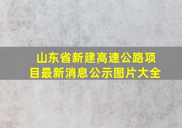 山东省新建高速公路项目最新消息公示图片大全