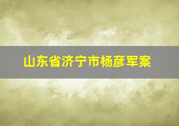 山东省济宁市杨彦军案