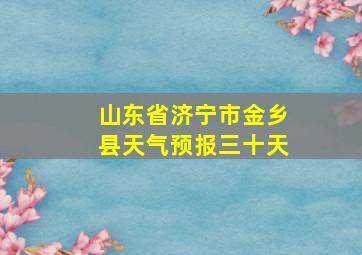 山东省济宁市金乡县天气预报三十天