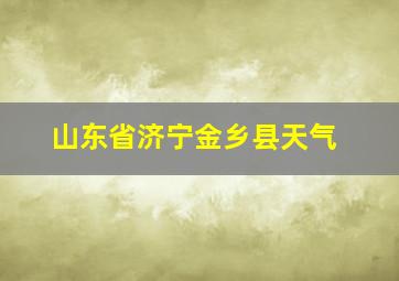 山东省济宁金乡县天气