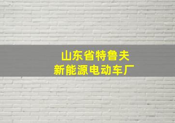 山东省特鲁夫新能源电动车厂