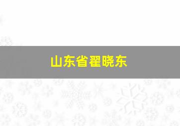 山东省翟晓东