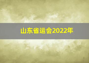 山东省运会2022年