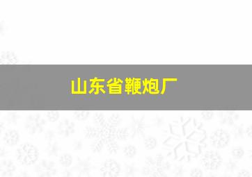 山东省鞭炮厂