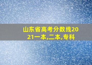 山东省高考分数线2021一本,二本,专科