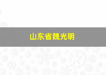 山东省魏光明